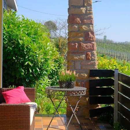 Ferienweingut Wissing Wohnung Theo Gleiszellen-Gleishorbach Exterior photo